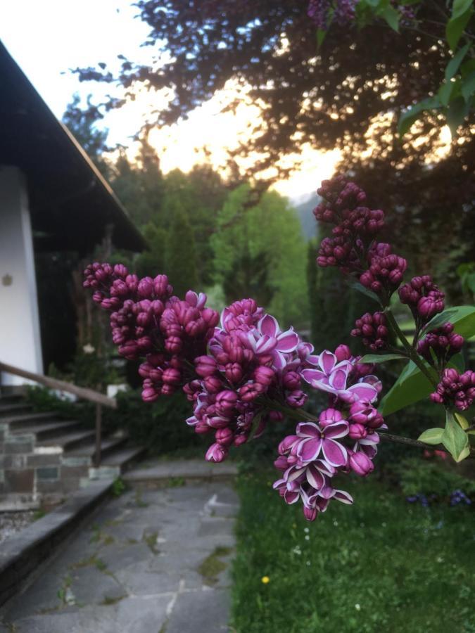 Ferienhaus Wieswald Ehrwald Buitenkant foto