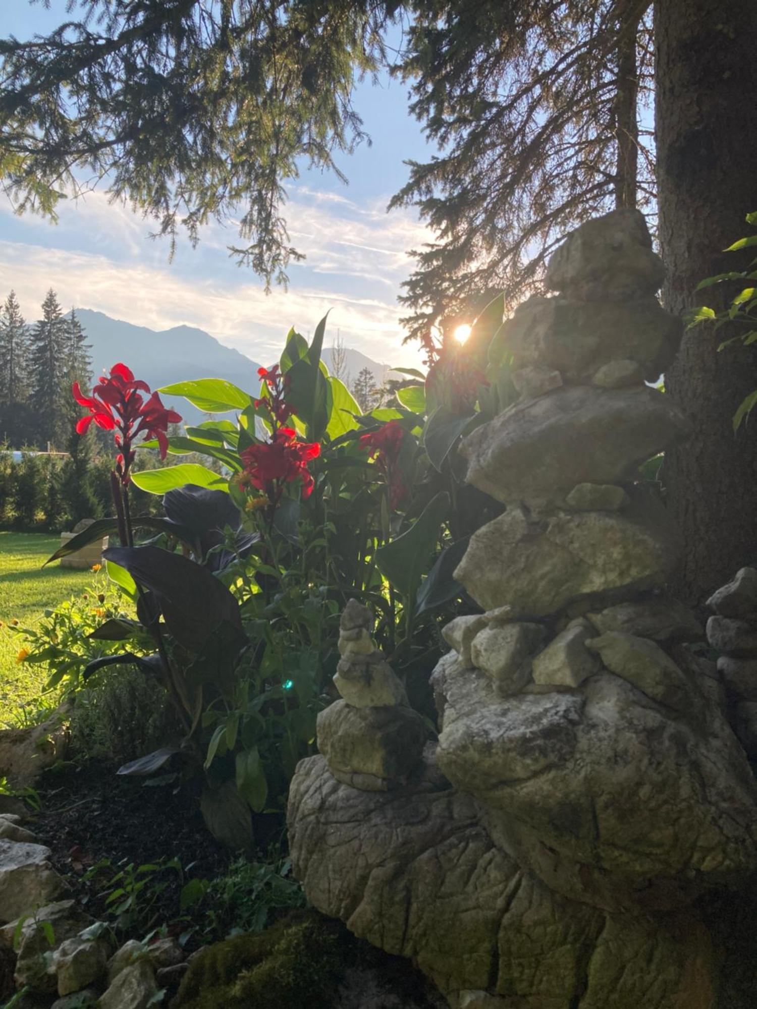 Ferienhaus Wieswald Ehrwald Buitenkant foto